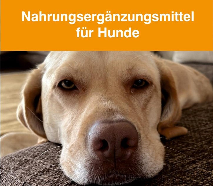 Nahrungsergänzungsmittel für Hunde