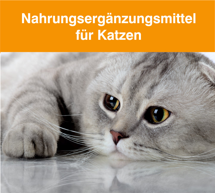 Nahrungsergänzungsmittel für Katzen